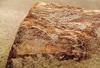 wood1